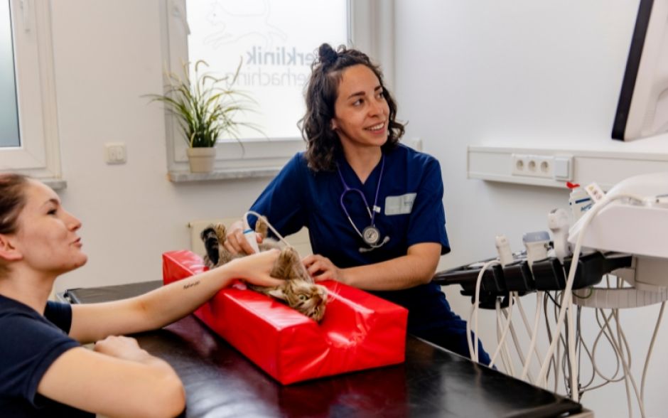 tierklinik-muenchen-fortbildungen-innere-medizin