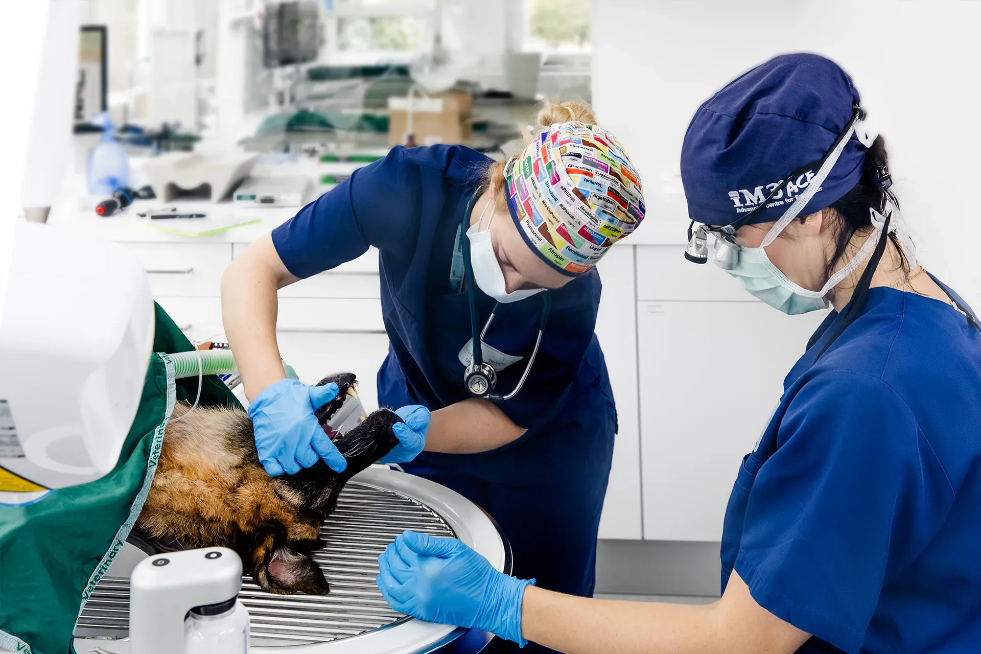 Intensivmedizin meets Oralchirugie - der Schädelhirntraumapatient