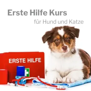 Erste Hilfe Kurs Mai 2023