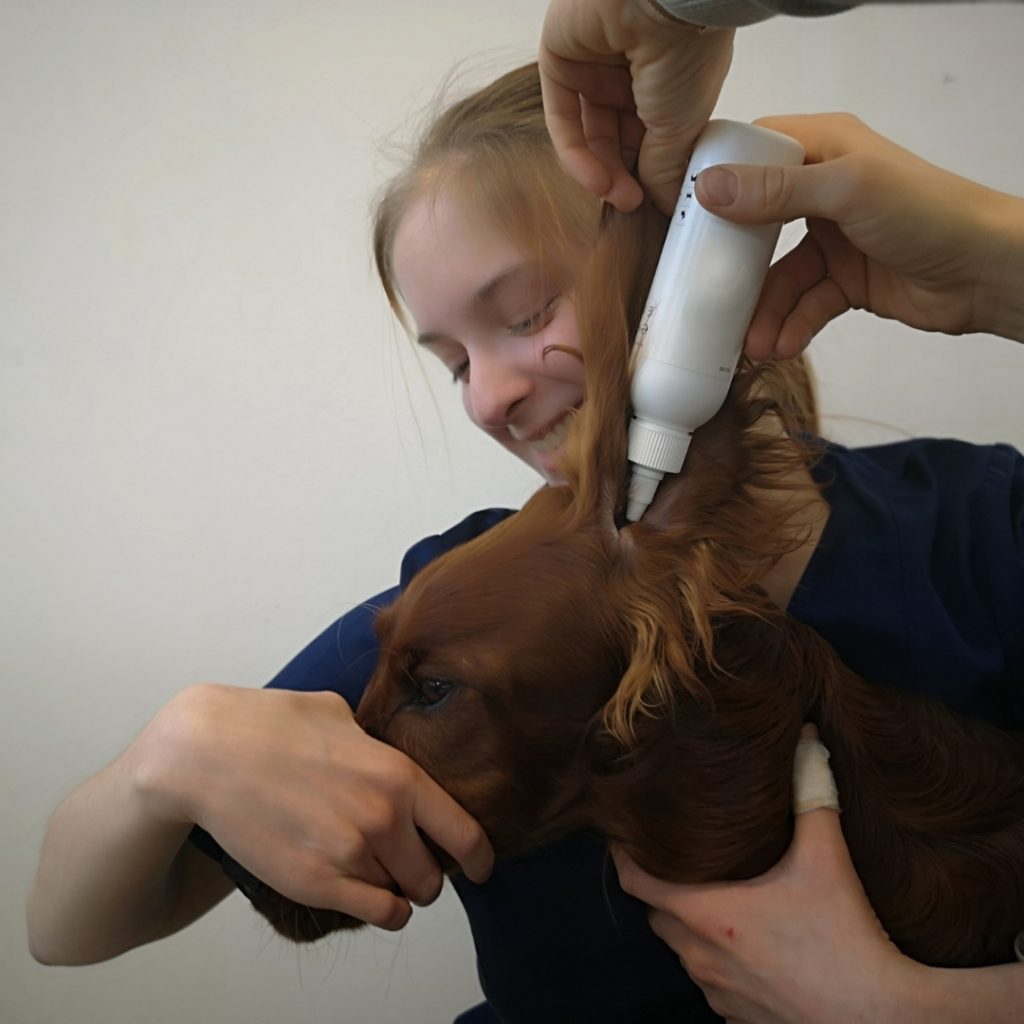 tierklinik-oberhaching-medikament-eingeben